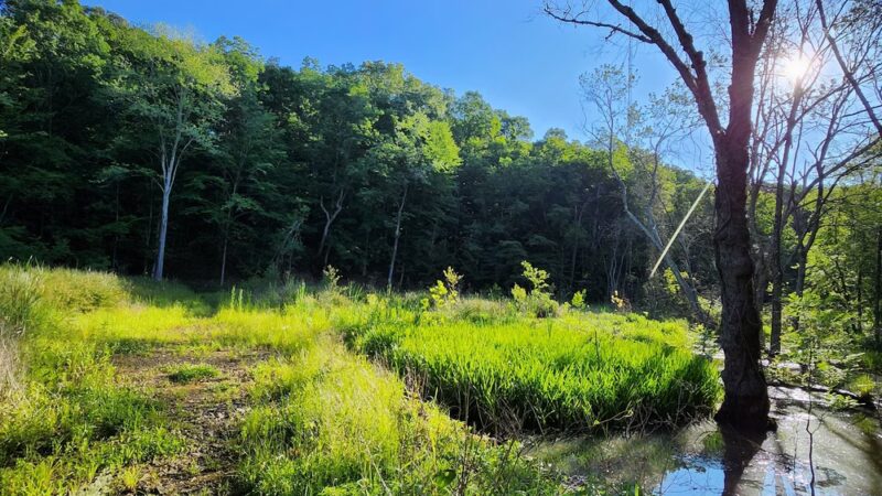Bestgate Park - Annapolis, MD