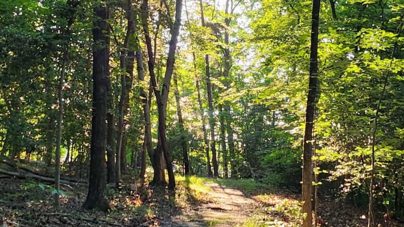 Bestgate Park - Annapolis, MD