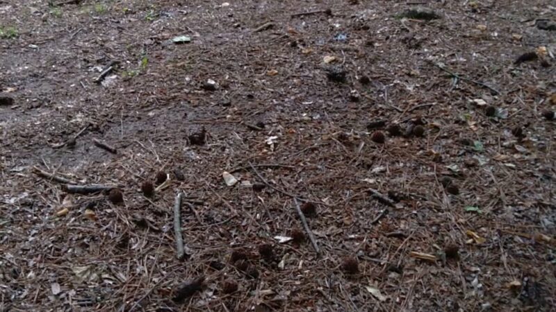 LaGarde Park - Anniston, AL