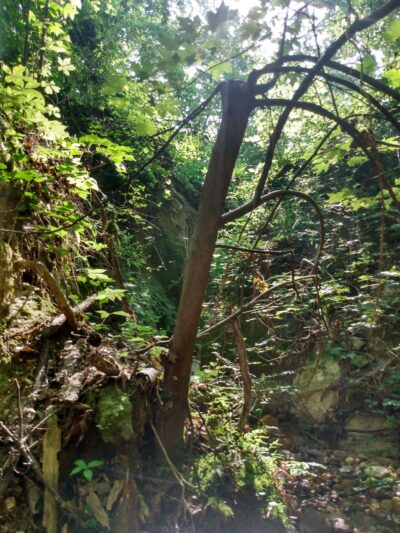 LaGarde Park - Anniston, AL