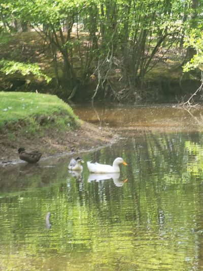 LaGarde Park - Anniston, AL