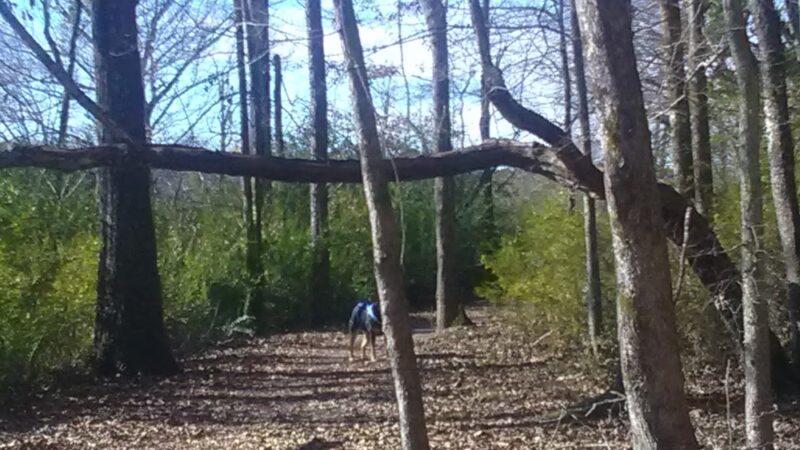 Wellborn Park - Anniston, AL