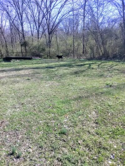 Wellborn Park - Anniston, AL