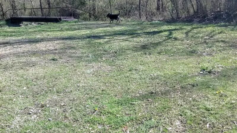Wellborn Park - Anniston, AL