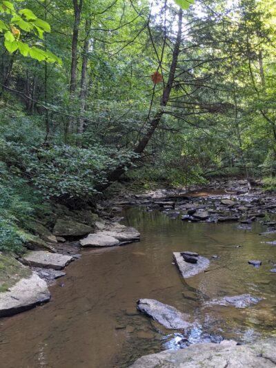 Worthington Community Park - Annville, KY