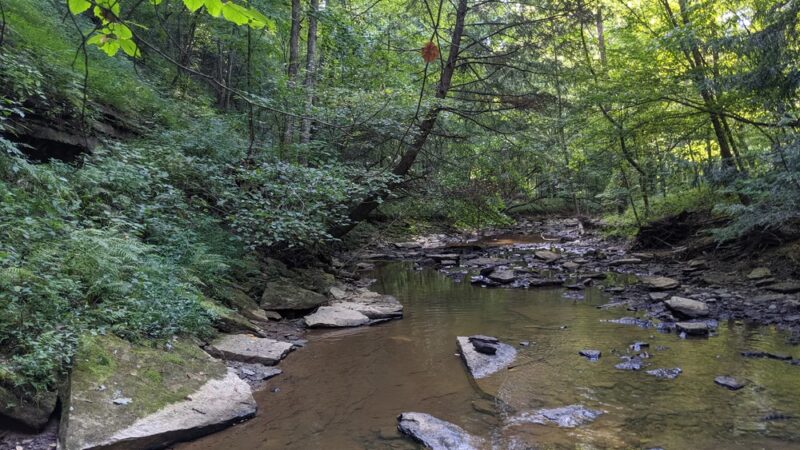 Worthington Community Park - Annville, KY