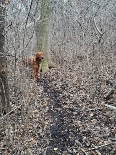 Sunny Acres 2 - Anoka, MN