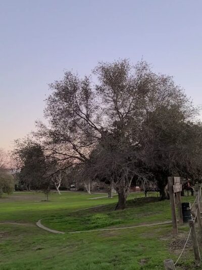 Antelope Community Park - Antelope, CA