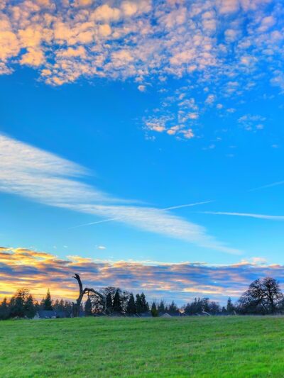 Antelope Community Park - Antelope, CA