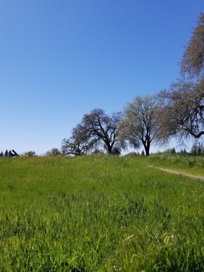 Antelope Community Park - Antelope, CA