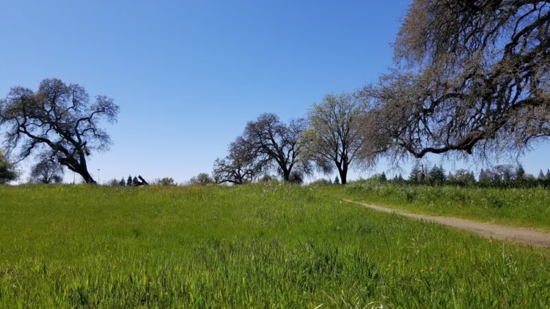 Antelope Community Park - Antelope, CA