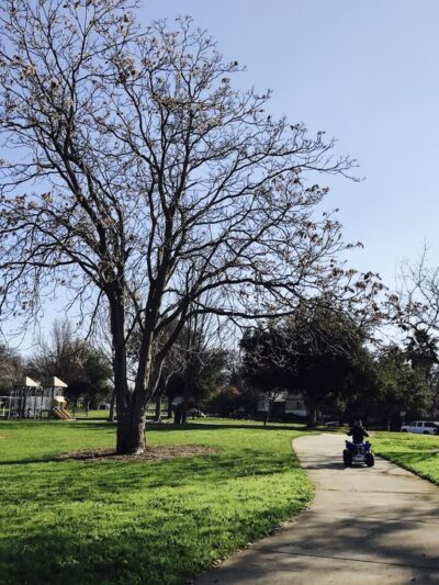 Blue Oak Park - Antelope, CA
