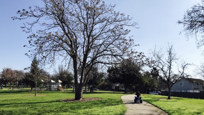 Blue Oak Park - Antelope, CA