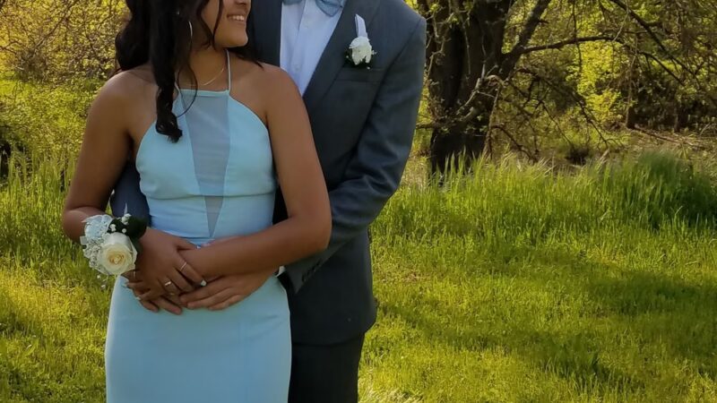 Northbrook Park - Antelope, CA