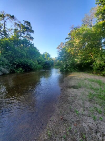 Northbrook Park - Antelope, CA