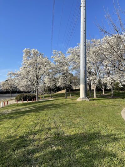 Tetotom Park - Antelope, CA