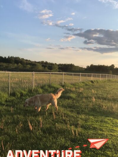 City of Antigo Dog Park - Antigo, WI