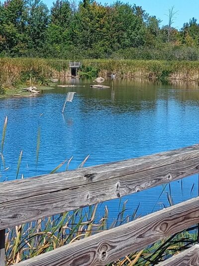 City of Antigo Springbrook Trail - Antigo, WI
