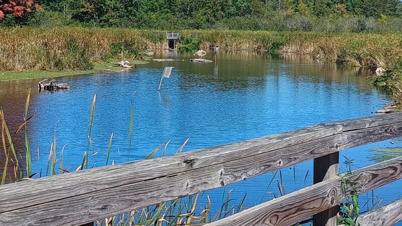 City of Antigo Springbrook Trail - Antigo, WI