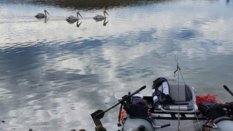 South Point Campground - Antimony, UT