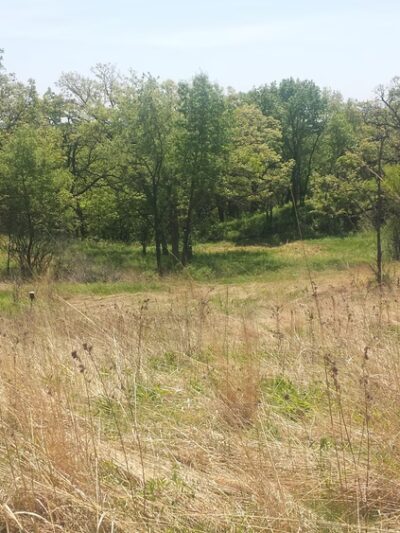 Gander Mountain Forest Preserve - Antioch, IL