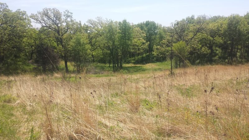 Gander Mountain Forest Preserve - Antioch, IL