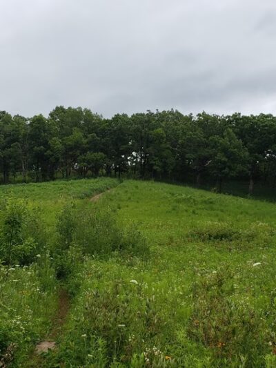 Gander Mountain Forest Preserve - Antioch, IL
