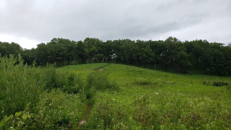 Gander Mountain Forest Preserve - Antioch, IL