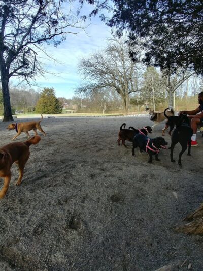 William A. Pitts Park - Antioch, TN