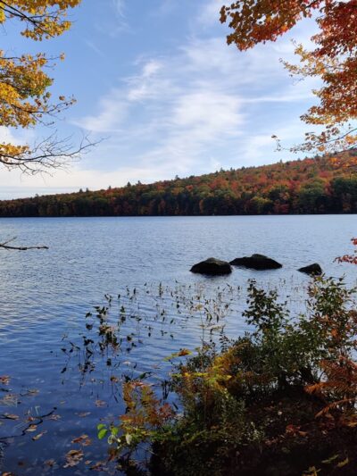 Tamposi Trail - Antrim, NH