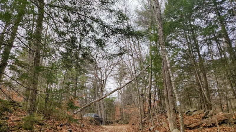 Tamposi Trail - Antrim, NH