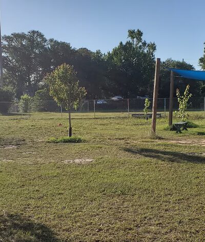 Apalachicola Dog Park - Apalachicola, FL