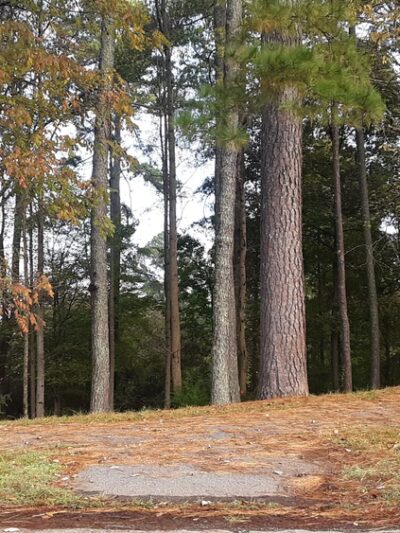 Apison Park - Apison, TN