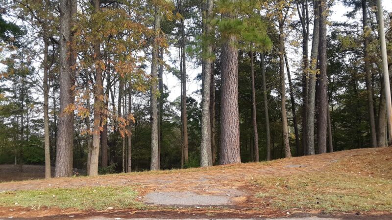 Apison Park - Apison, TN
