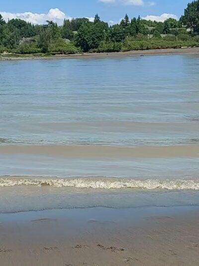 McDonald Beach Dogs Off-Leash Area - Apison, TN