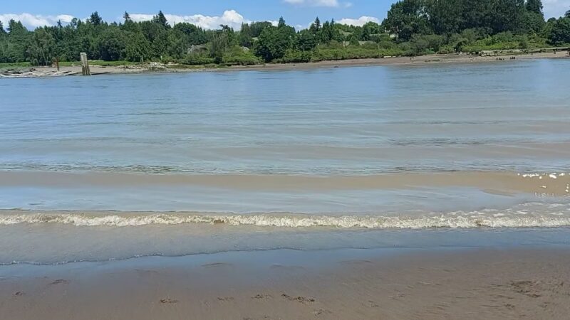 McDonald Beach Dogs Off-Leash Area - Apison, TN