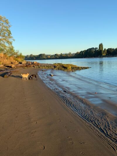 McDonald Beach Dogs Off-Leash Area - Apison, TN