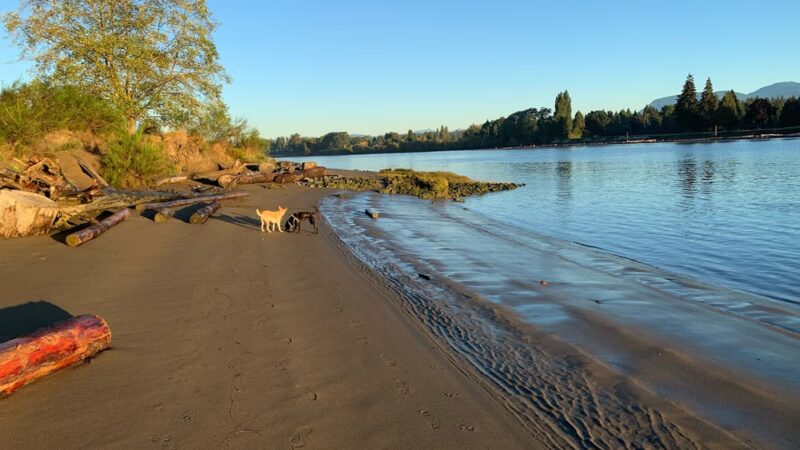 McDonald Beach Dogs Off-Leash Area - Apison, TN