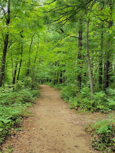 Apple River Canyon State Park - Apple River, IL