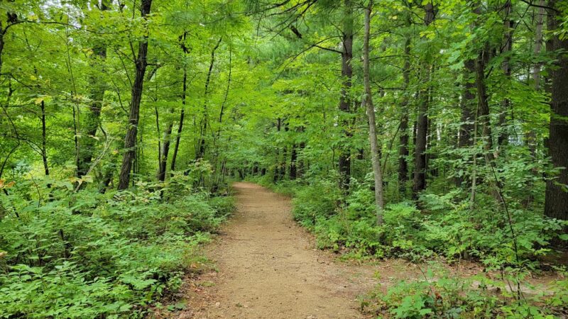 Apple River Canyon State Park - Apple River, IL