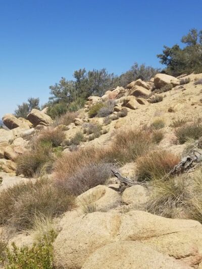 Pacific Crest Trail - Apple Valley, CA