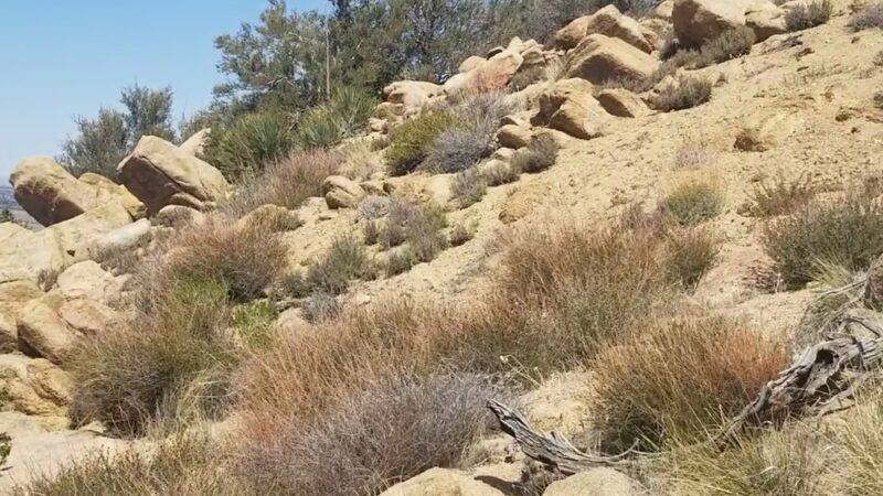 Pacific Crest Trail - Apple Valley, CA