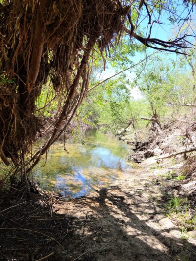 Pacific Crest Trail - Apple Valley, CA