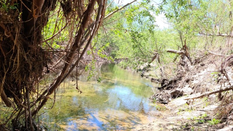 Pacific Crest Trail - Apple Valley, CA