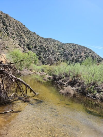 Pacific Crest Trail - Apple Valley, CA