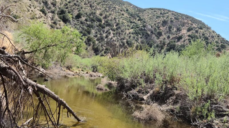 Pacific Crest Trail - Apple Valley, CA