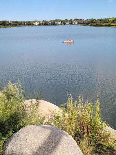 Cobblestone Lake Shelter - Apple Valley, MN