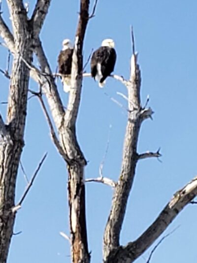 Delaney Park - Apple Valley, MN