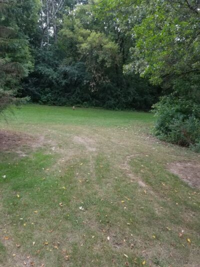 Greenleaf Park - Apple Valley, MN