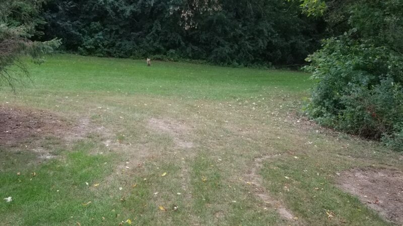 Greenleaf Park - Apple Valley, MN